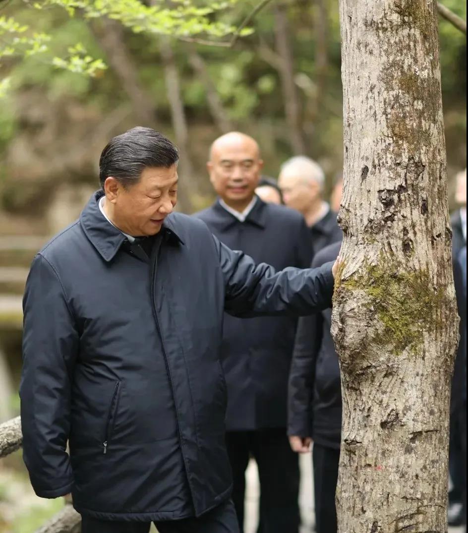 湖南綠楷節能環(huán)?？萍加邢薰?湖南土壤污染修復,污水處理工程,農業(yè)污染治理,環(huán)保工程
