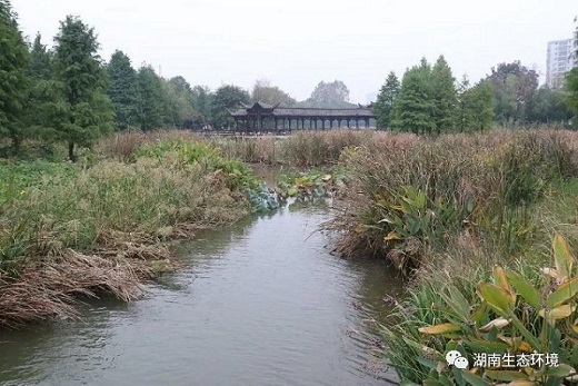 湖南綠楷節能環(huán)?？萍加邢薰?湖南土壤污染修復,污水處理工程,農業(yè)污染治理,環(huán)保工程